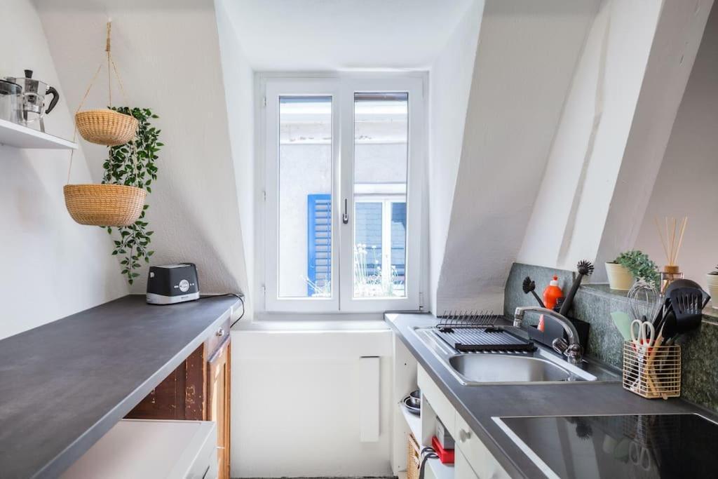 Wohnung In Zuerich Mit Dachterrasse // Langstrasse Exterior photo